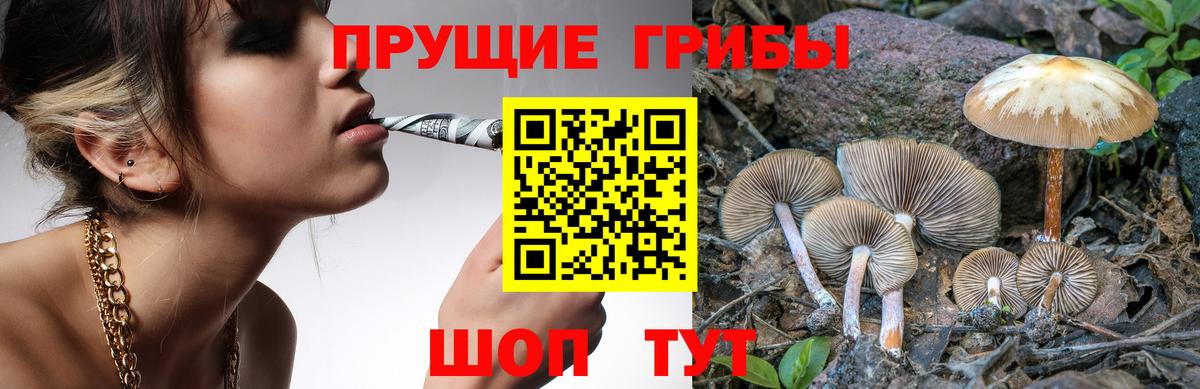 Кулебаки  Псилоцибиновые грибы GOLDEN TEACHER  Вход с VPN 